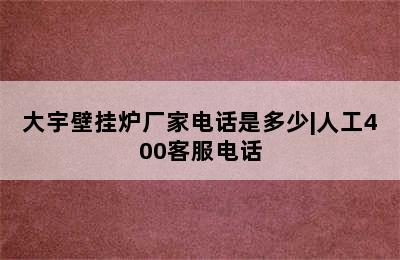 大宇壁挂炉厂家电话是多少|人工400客服电话